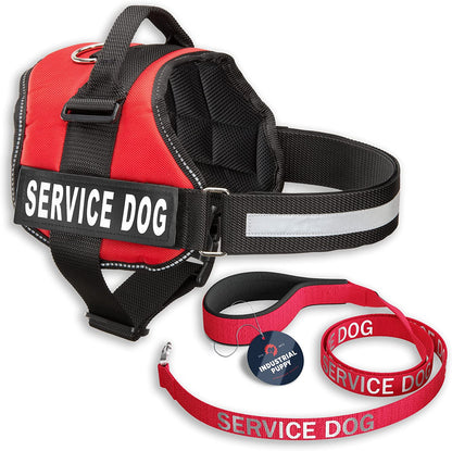 Professional Service Dog Vest and Leash Set - Adjustable Harnesses from XXS to XXL with Reflective Patch and Breathable Mesh Design (Red, Small)