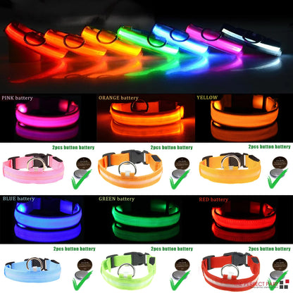 Glow-in-the-Dark Pup Bling: Because Your Dog Deserves to Shine Brighter Than Your Ex's Future!