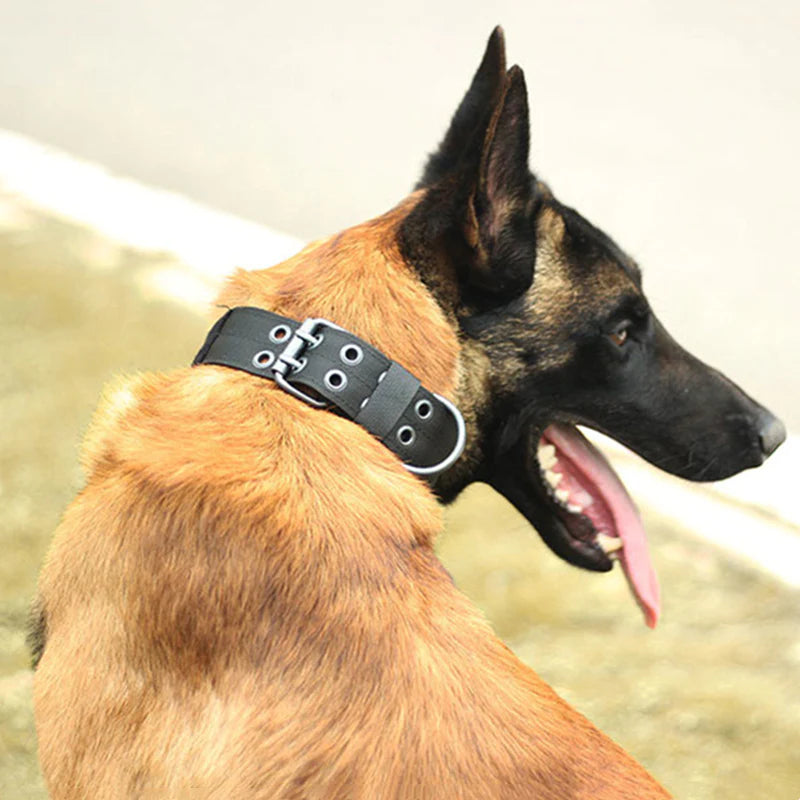 Heavy-Duty 2" Wide Tactical Nylon Dog Collar for Large Breeds - K9 Military Style with Metal Buckle