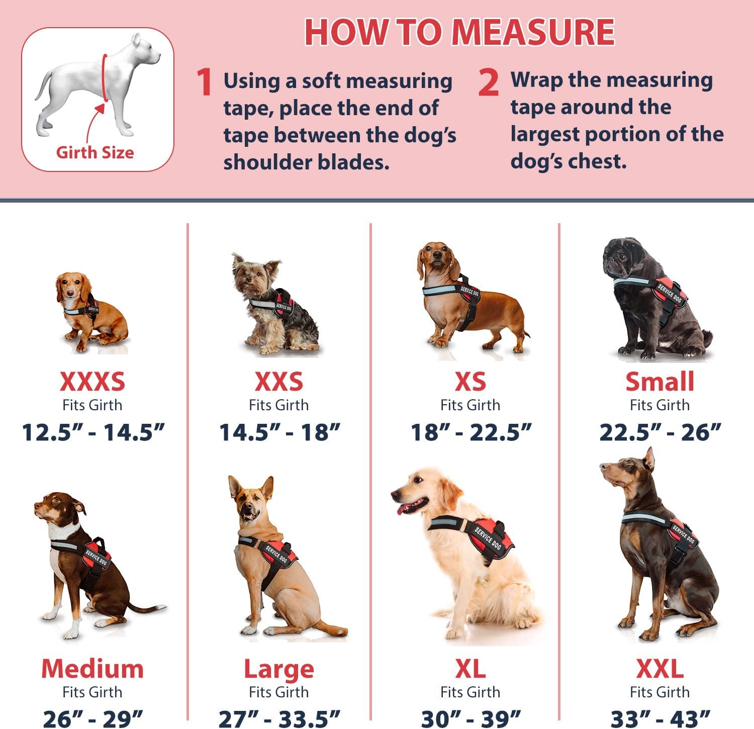 Professional Service Dog Vest and Leash Set - Adjustable Harnesses from XXS to XXL with Reflective Patch and Breathable Mesh Design (Red, Small)