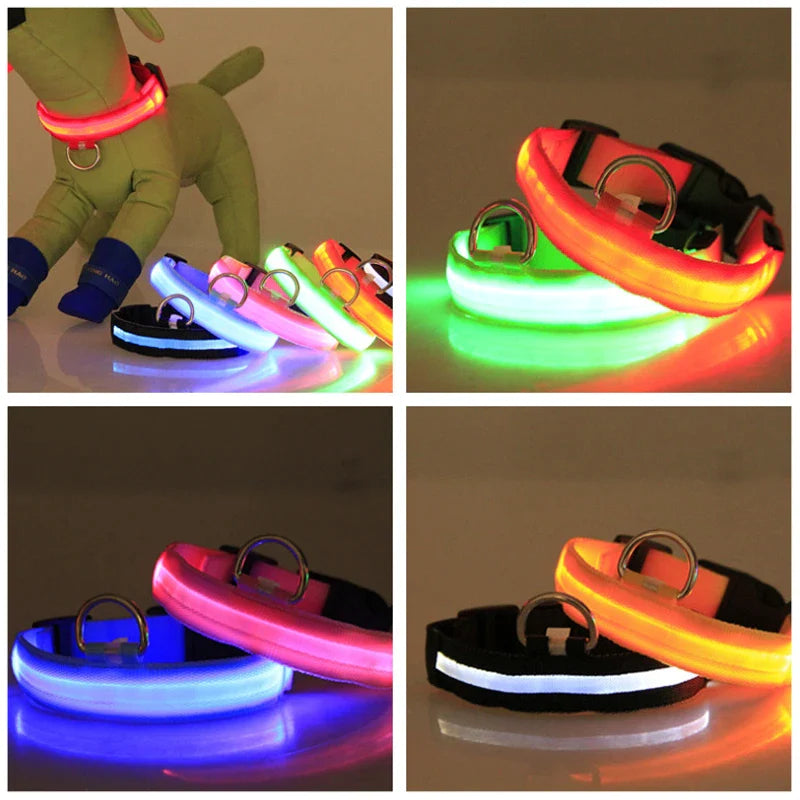 Glow-in-the-Dark Pup Bling: Because Your Dog Deserves to Shine Brighter Than Your Ex's Future!