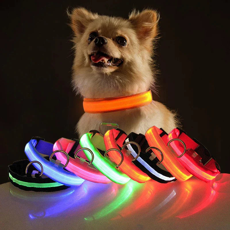 Glow-in-the-Dark Pup Bling: Because Your Dog Deserves to Shine Brighter Than Your Ex's Future!