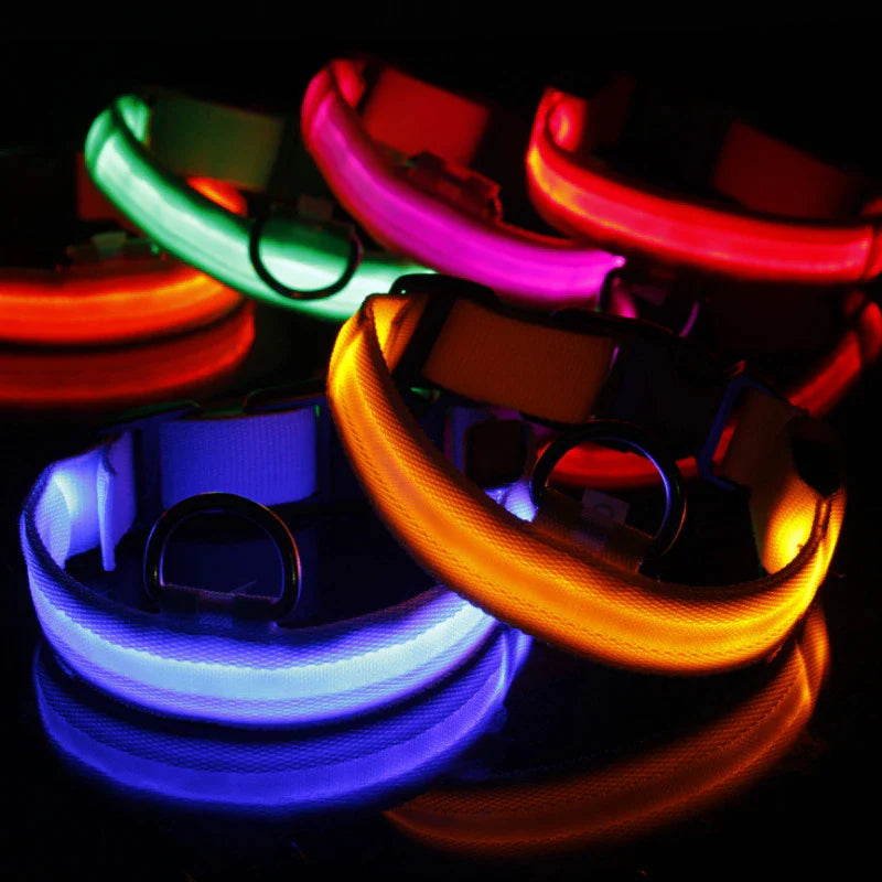 Glow-in-the-Dark Pup Bling: Because Your Dog Deserves to Shine Brighter Than Your Ex's Future!