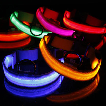 Glow-in-the-Dark Pup Bling: Because Your Dog Deserves to Shine Brighter Than Your Ex's Future!